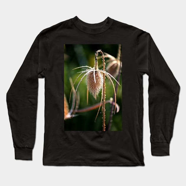 Bowed Head Long Sleeve T-Shirt by photoclique